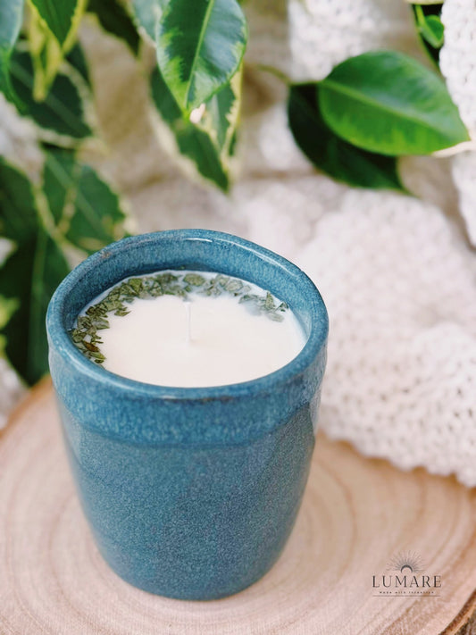 Purificação & Renovação