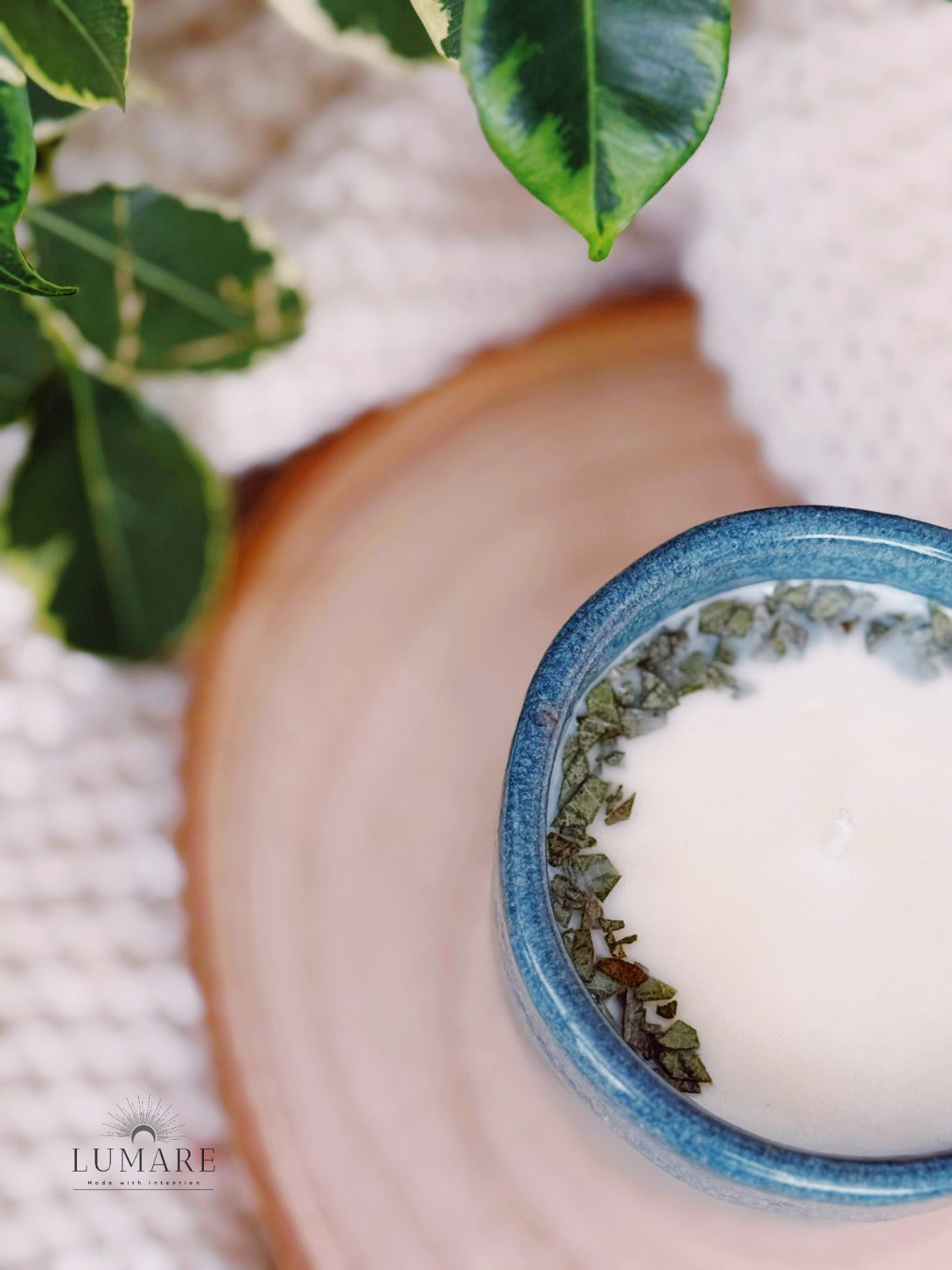 Purificação & Renovação