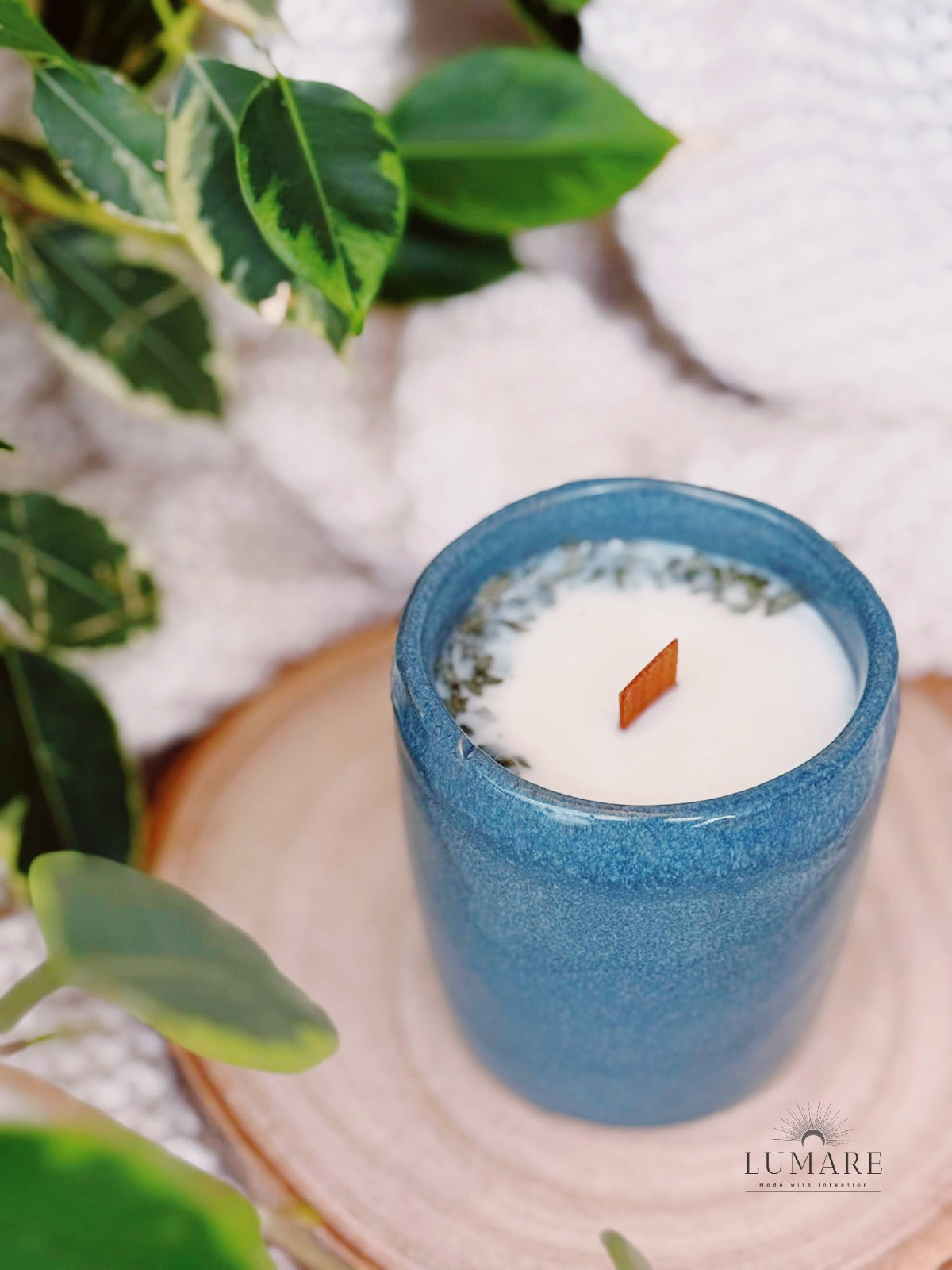 Purificação & Renovação