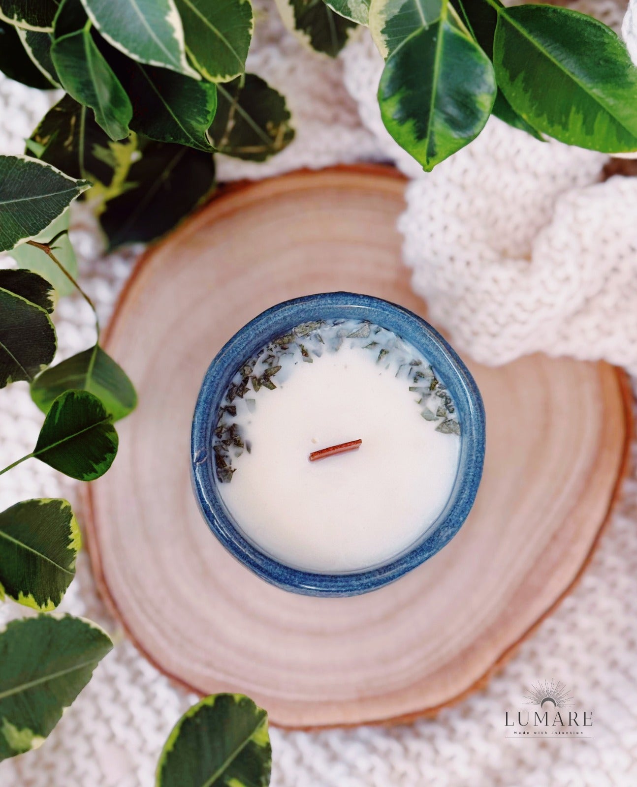 Purificação & Renovação